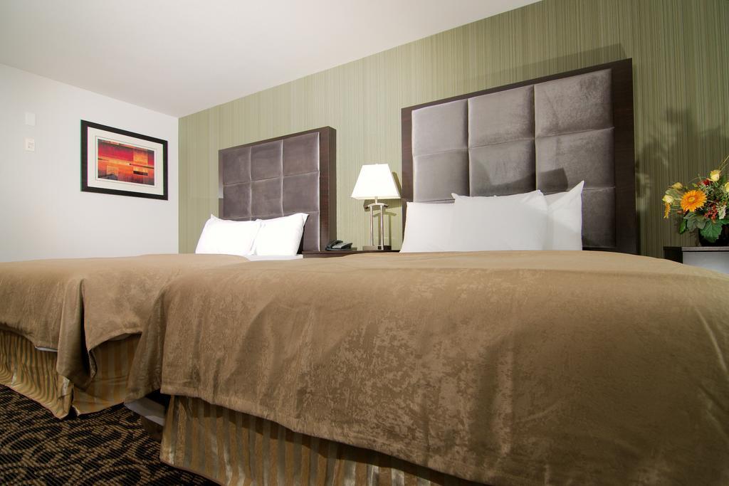 Paradise Inn And Suites Redwater Rum bild