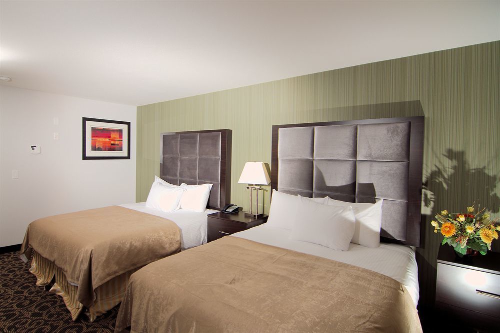 Paradise Inn And Suites Redwater Exteriör bild